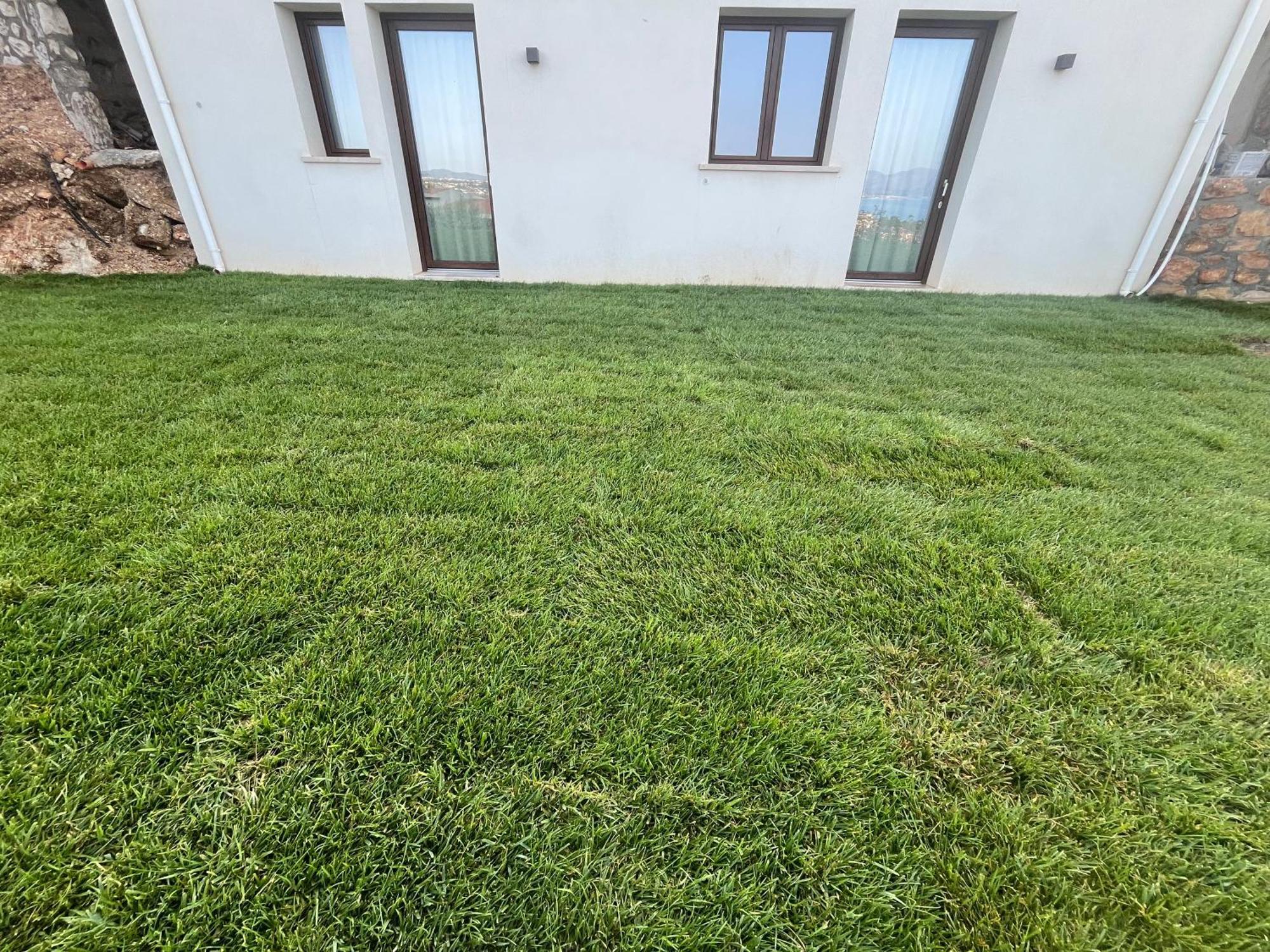 Tenuta Rapillo Castellammare del Golfo Buitenkant foto